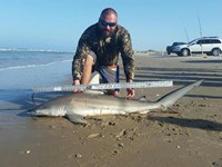 Southern Shark  Outcasts  - Jesse Garza