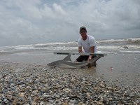 CatchSharks - Steven Kennedy