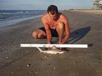 Stacking Gills - josh Counahan