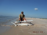 Team Southern Sharkers - David Tidwell