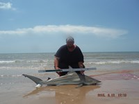 Team Southern Sharkers - Donnie Tidwell