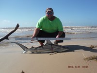 Team Southern Sharkers - Donnie Tidwell