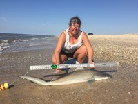 Team JackWagon - Kimberly Collier