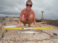 Team Gray-N-White - Miranda Hayden