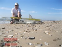 Team Rockstar - Scott Nelson