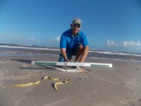 Keep It Reel - Joe  Garcia