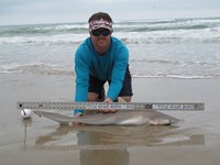 Team Rockstar - Brad Tabor