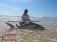 Team Rockstar - Brad Tabor