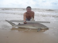 Sharkaholics - Zach Crain