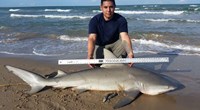 Boca Chica Beach Legends - Eric Trevino