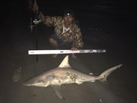 Team Hooked Up - Hunter Luna