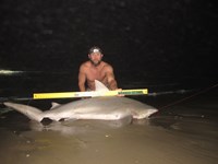 Team Rockstar - James Clark