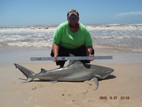 Team Southern Sharkers - Donnie Tidwell