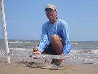 Sharkaholics - David Crain