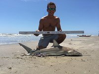 Aardsharks - Tyke Parrish