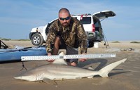 Southern Shark  Outcasts  - Jesse Garza