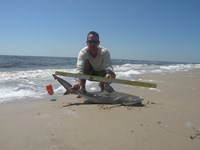 CatchSharks - Steven Kennedy