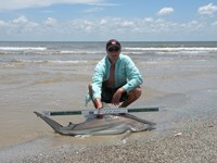 CatchSharks - Leon Button