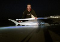 Team Rockstar - Eric Ozolins