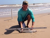 Sharkaholics - Zach Crain