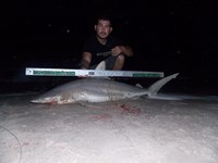 Keep It Reel - Joe  Garcia