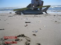 Team Rockstar - Scott Nelson