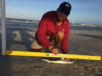 El Pescador - Tomas Barriga