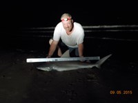 Bolivar Bums - Bryan Arhens