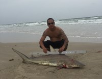 Controlled Chaos - Rey Contreras