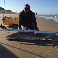 Southern Shark  Outcasts  - Jesse Garza