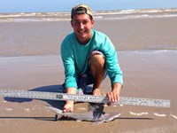 Sharkaholics - Zach Crain