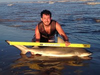 Sharkaholics - Zach Crain