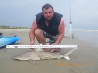 Reel Loco - Christopher Koehl