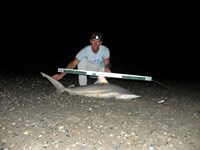 CatchSharks - Steven Kennedy