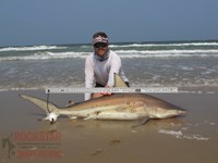 Team Rockstar - Brad Tabor