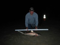 Fishing Locos - Mark Cano