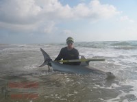 Team Rockstar - Dani Zirkel