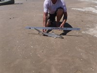 Stacking Gills - David  Counahan