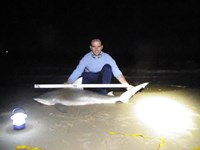 Lone Star Sharkers - shawn Queeney