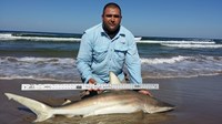 Boca Chica Beach Legends - Joe  Gonzalez