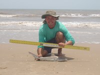 Sharkaholics - Zach Crain