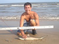 Sharkaholics - Zach Crain