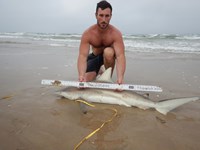 Keep It Reel - Kelley  O'Brien