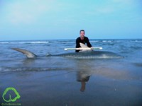 CatchSharks - Steven Kennedy