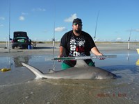 Team Southern Sharkers - Eduardo Mejia