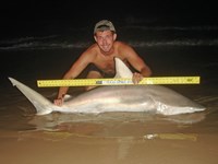 Sharkaholics - Zach Crain