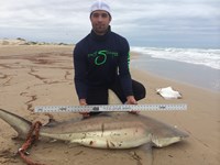 Boca Chica Beach Legends II - Carlos De Leon