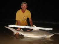 Sharkaholics - David Crain