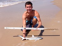 Sharkaholics - Zach Crain