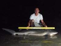 Team Gray-N-White - Jericho Dippold